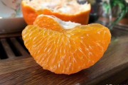 授柑橘種植技術(shù)培訓的信息_怎樣防止柑橘干旱 授柑橘種植技術(shù)培訓的信息_怎樣防止柑橘干旱