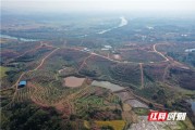 衡陽市柑橘種植技術規(guī)程_桂林是幾線城市