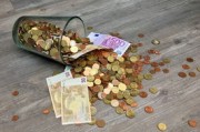 柑橘脫毒用什么砧木最好？科學(xué)選擇與高效栽培技術(shù)解析