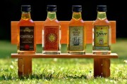 柑橘烏云飲品怎么做不加酒？零酒精配方與詳細(xì)制作步驟大公開