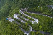 柑橘斜坡種植技術(shù)_還可以種點(diǎn)什么 柑橘斜坡種植技術(shù)_還可以種點(diǎn)什么
