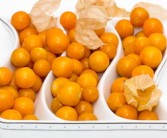 脆皮金桔怎么多掛果子（脆皮金桔怎樣摘果）