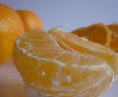 潮汕草藥風桔（潮汕草藥風桔圖片）
