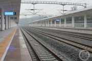 渝北統(tǒng)景柑橘種植技術(shù)_重慶水果產(chǎn)地排名