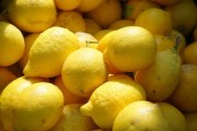 大柑橘叫什么品種？揭秘常見大柑橘品種名稱與特點解析