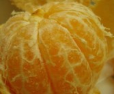 橙子桔子哪個(gè)外來品種（橙子屬于柑橘嗎）
