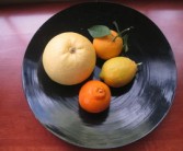 柚子柑橘營養(yǎng)相同嗎（柚子柑橘營養(yǎng)相同嗎圖片）