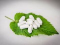 最抗凍柑橘品種什么？中國(guó)北方耐寒柑橘推薦榜單解析