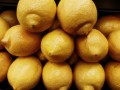 科技賦能農(nóng)業(yè)：極早熟柑橘新品種“早豐1號”突破傳統(tǒng)種植周期