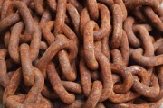 柑橘病蟲害套裝全解析：高效防治方案與專業(yè)管理工具推薦