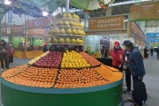 廣西靈山柑橘苗種植技術_初中文化的巧婦9妹靠農(nóng)業(yè)直播年收入1000萬
