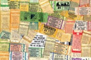 2023年早熟柑橘價格多少錢一斤？主產(chǎn)區(qū)行情走勢全面解析