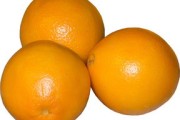 柑子橘子橙子區(qū)別在哪里（柑和橘子和橙子的區(qū)別）
