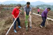 柑橘種植技術(shù)有聲書(shū)籍_幼樹(shù)6月可以追尿素嗎