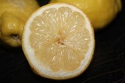 柑橘枝梢上斑點(diǎn)怎么回事？詳解常見病因與防治對(duì)策