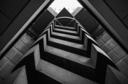 零基礎(chǔ)必看！春季柑橘幼苗嫁接高清視頻教程（手把手教學(xué)版）