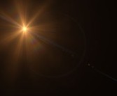 柑橘黑星病害圖片（柑橘黑星病害圖片高清）