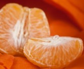 橘子耙耙柑哪個(gè)營養(yǎng)好（耙耙柑和橘子區(qū)別）