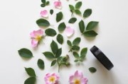 柑橘打藥視頻教程(柑橘打藥方法) 柑橘打藥視頻教程(柑橘打藥方法)