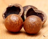 沃柑掛果樹(shù)苗價(jià)格多少錢(qián)一棵（沃柑掛果量）