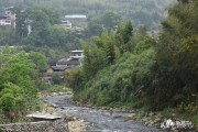 江山柑橘種植技術(shù)論文_三國中有哪些美食