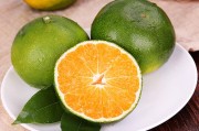 柑橘新品種＂苔絲＂強(qiáng)勢(shì)登場(chǎng)：高產(chǎn)抗病引領(lǐng)市場(chǎng)新潮流