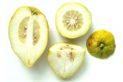酸柑橘種植技術_什么水果可以刷酸