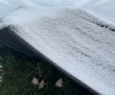 柑橘蓋膜的種植技術(shù)_泰國青檸檬種植方法