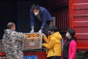 高要柑橘種植技術(shù)價格_甘油三酯偏高怎么辦 高要柑橘種植技術(shù)價格_甘油三酯偏高怎么辦