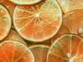 柑橘區(qū)別在哪里？全面解析品種、口感與營養(yǎng)價值大不同