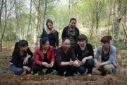柑橘林下種植技術(shù)_你知道農(nóng)民種樹(shù)的原因嗎