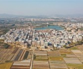 揭陽柑橘種植技術(shù)_阿維菌素最主要?dú)⑹裁春οx