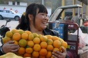 種植柑橘培訓(xùn)技術(shù)文章_為什么地中海氣候適宜種植柑橘 種植柑橘培訓(xùn)技術(shù)文章_為什么地中海氣候適宜種植柑橘