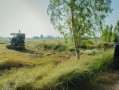 四川平泉荷橋村柑橘基地喜迎豐收，打造鄉(xiāng)村振興特色產(chǎn)業(yè)示范區(qū)