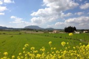基于氣候適應(yīng)性及生態(tài)效益的柑桔基地迷霧噴藥可行性研究報(bào)告