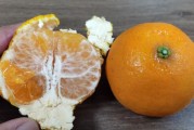 沃柑的作用與功效與作用是什么（沃柑的作用與功效與作用是什么呢）