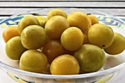 彩虹專(zhuān)屬耙耙柑：果香四溢的爆汁甜蜜自然饋贈(zèng)