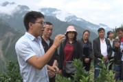 官方柑橘種植技術(shù)培訓(xùn)資料_橘子在北緯32度可以種嗎