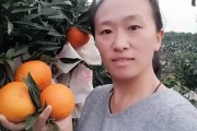 愛(ài)媛30號(hào)柑桔市場(chǎng)價(jià)_愛(ài)媛58號(hào)柑橘品種介紹