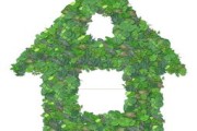 浙江衢州最適合柑橘品種推薦：氣候條件與種植技巧解析