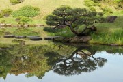 徜徉自然芬芳：柑橘主題花園的四季沉浸式體驗(yàn)