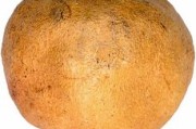 四川愛媛果樹苗：柑橘種植優(yōu)選品種與高產(chǎn)栽培技術(shù)解析