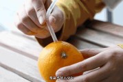 愛(ài)媛果凍橙多少錢一斤_愛(ài)媛果凍橙種植耐幾度低溫