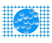 柑橘一畝大概產(chǎn)量多少？解析品種差異與管理技術(shù)對畝產(chǎn)的影響