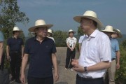 柑橘種植技術(shù)培訓(xùn)方案_柑橘?gòu)氖裁磿r(shí)候開始催熟 柑橘種植技術(shù)培訓(xùn)方案_柑橘?gòu)氖裁磿r(shí)候開始催熟
