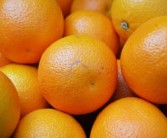 廣西橘子怎么么多呢（廣西盛產(chǎn)橘子嗎）
