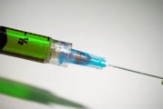 柑桔黃葉怎么辦？原因分析及科學防治方法全解析