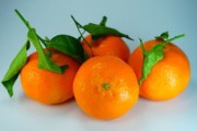 500一斤小青柑：新會核心產區(qū)陳年珍藏，品味自然饋贈