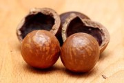 【限時(shí)特惠】柑橘樹苗10元一斤直播間直降！現(xiàn)挖現(xiàn)發(fā)包郵成活率高