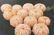 紅心寶柑橘種植技術(shù)_用什么樹(shù)木養(yǎng)殖金蟬效益最高